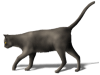 Captcha image 5028